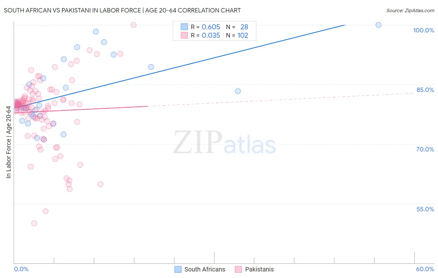 South African vs Pakistani In Labor Force | Age 20-64