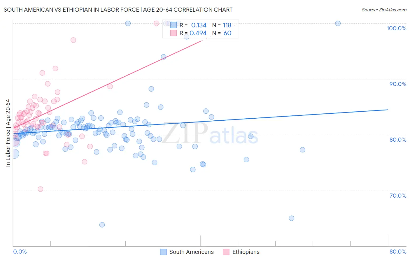 South American vs Ethiopian In Labor Force | Age 20-64