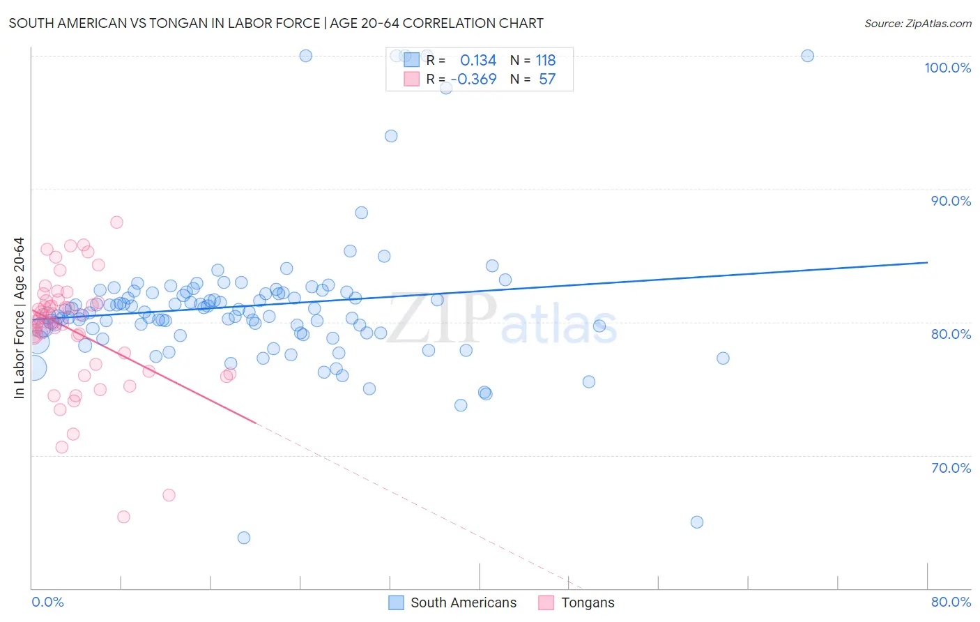 South American vs Tongan In Labor Force | Age 20-64