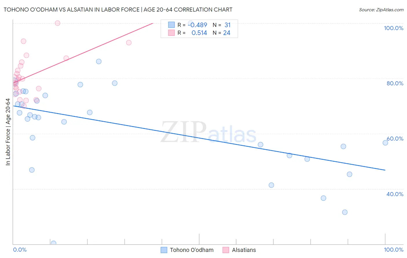 Tohono O'odham vs Alsatian In Labor Force | Age 20-64