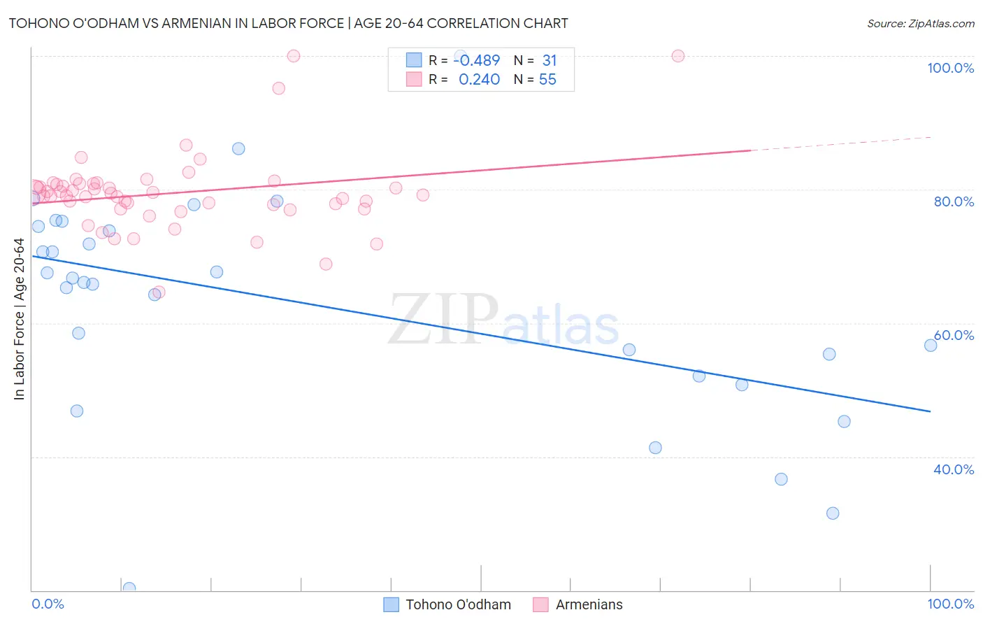 Tohono O'odham vs Armenian In Labor Force | Age 20-64