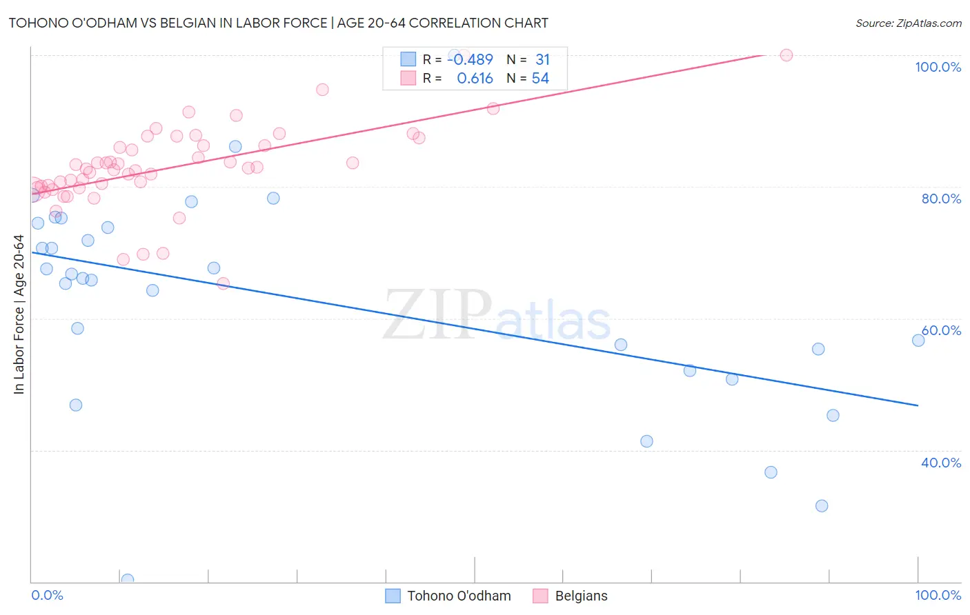 Tohono O'odham vs Belgian In Labor Force | Age 20-64