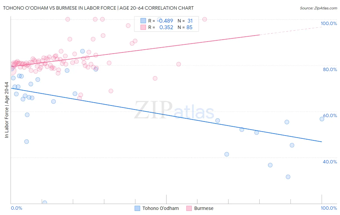 Tohono O'odham vs Burmese In Labor Force | Age 20-64