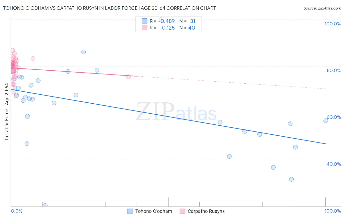 Tohono O'odham vs Carpatho Rusyn In Labor Force | Age 20-64