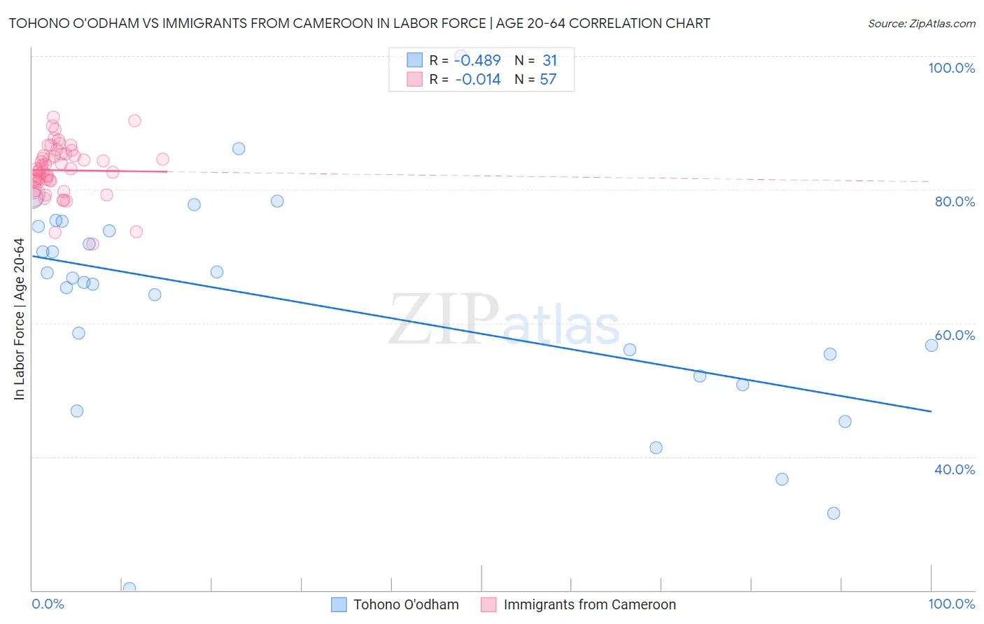 Tohono O'odham vs Immigrants from Cameroon In Labor Force | Age 20-64