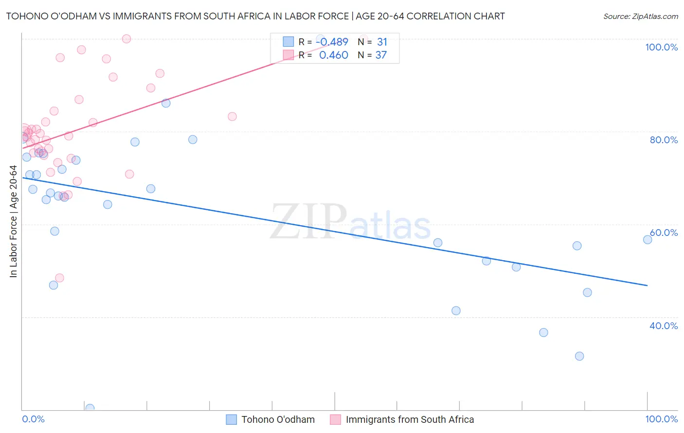 Tohono O'odham vs Immigrants from South Africa In Labor Force | Age 20-64