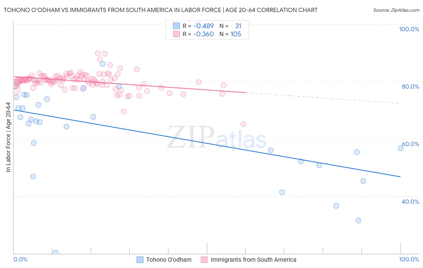 Tohono O'odham vs Immigrants from South America In Labor Force | Age 20-64