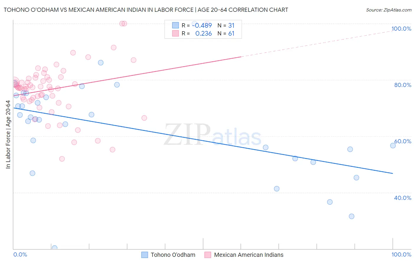 Tohono O'odham vs Mexican American Indian In Labor Force | Age 20-64