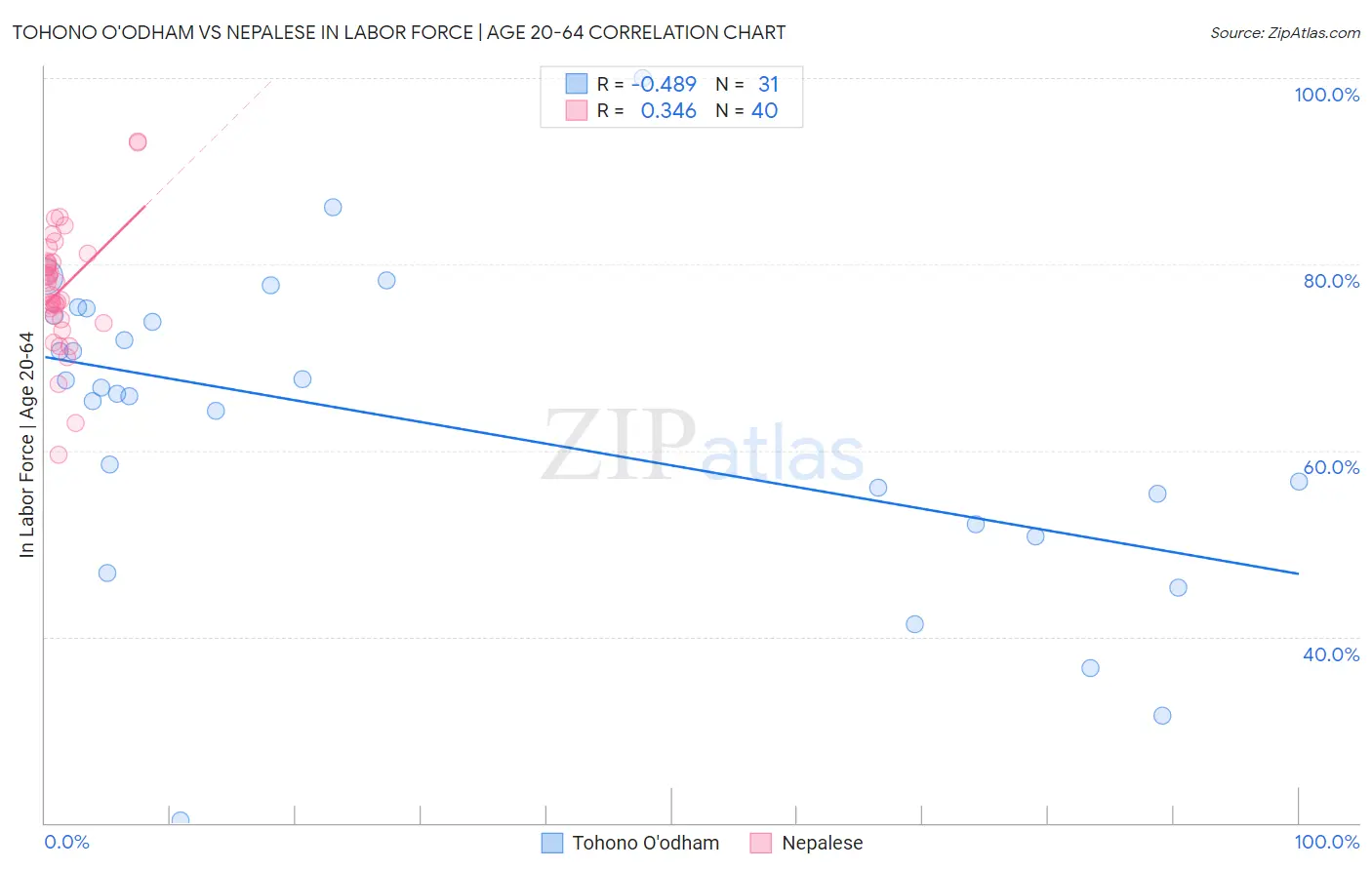 Tohono O'odham vs Nepalese In Labor Force | Age 20-64