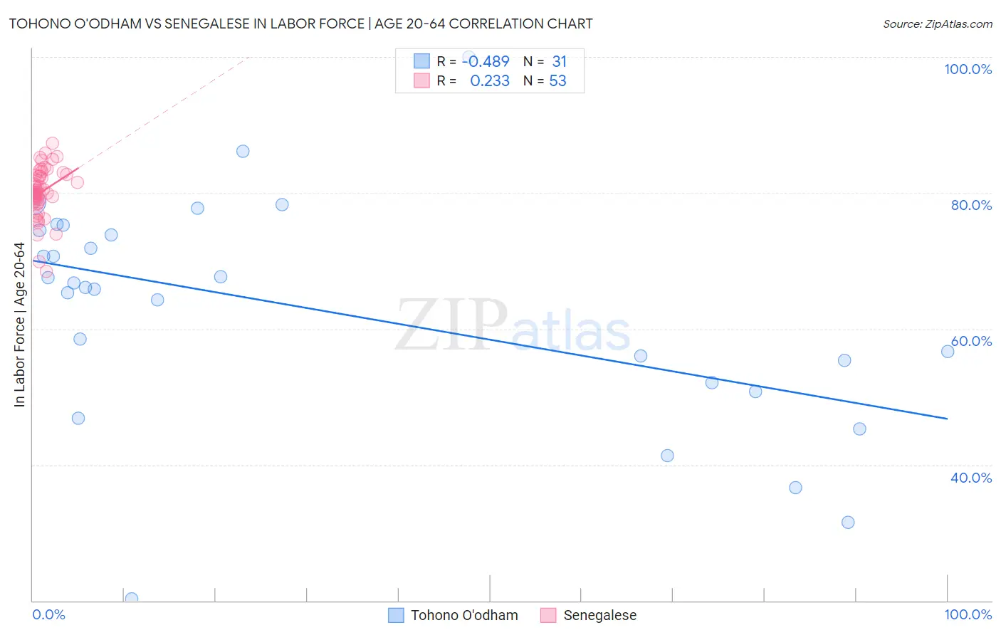 Tohono O'odham vs Senegalese In Labor Force | Age 20-64