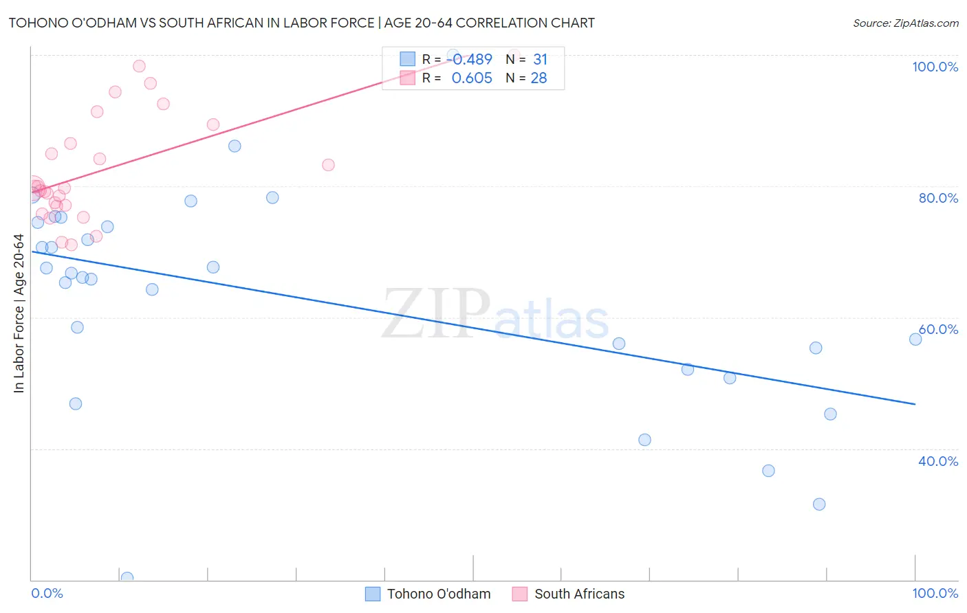 Tohono O'odham vs South African In Labor Force | Age 20-64