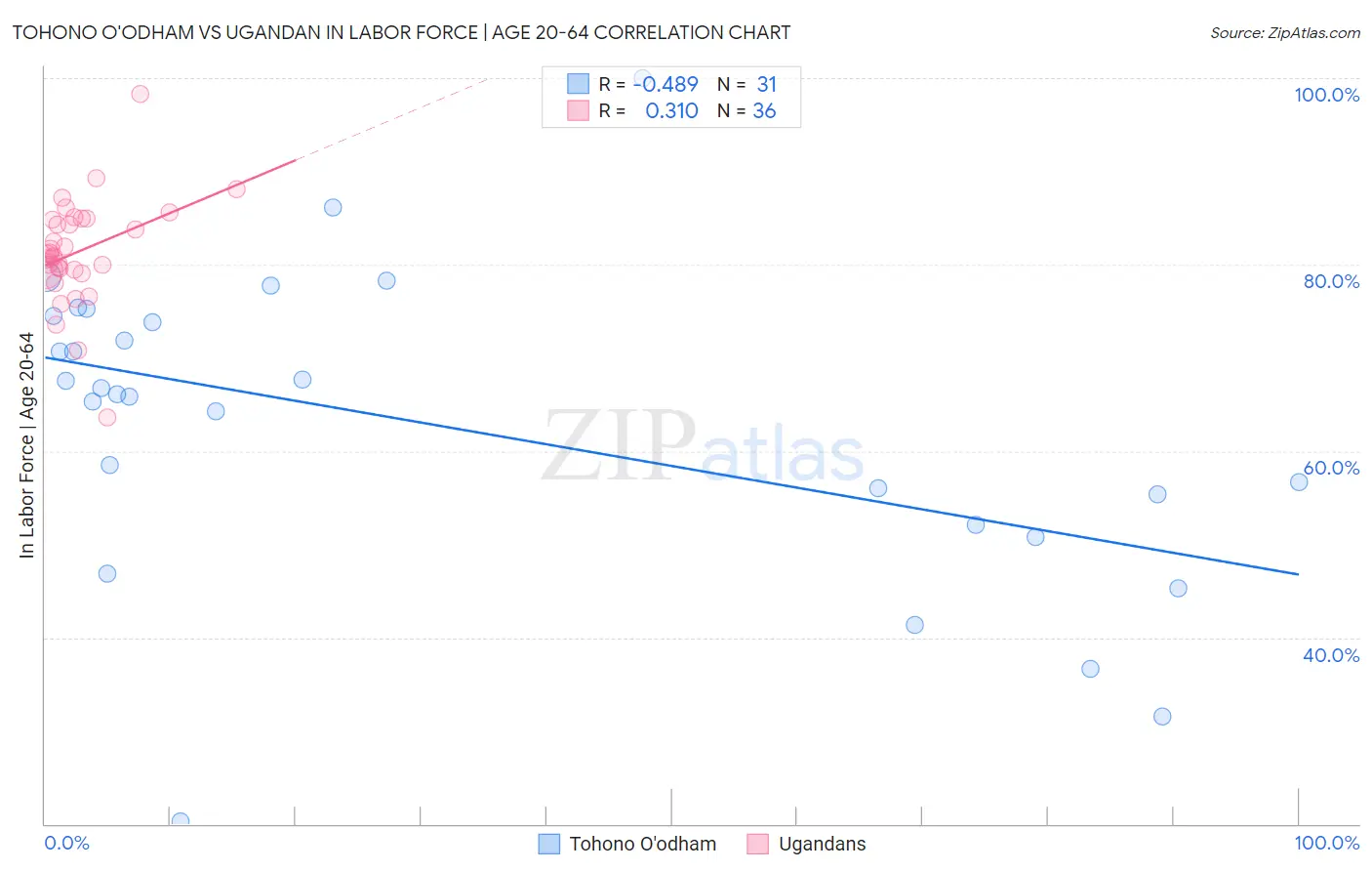 Tohono O'odham vs Ugandan In Labor Force | Age 20-64