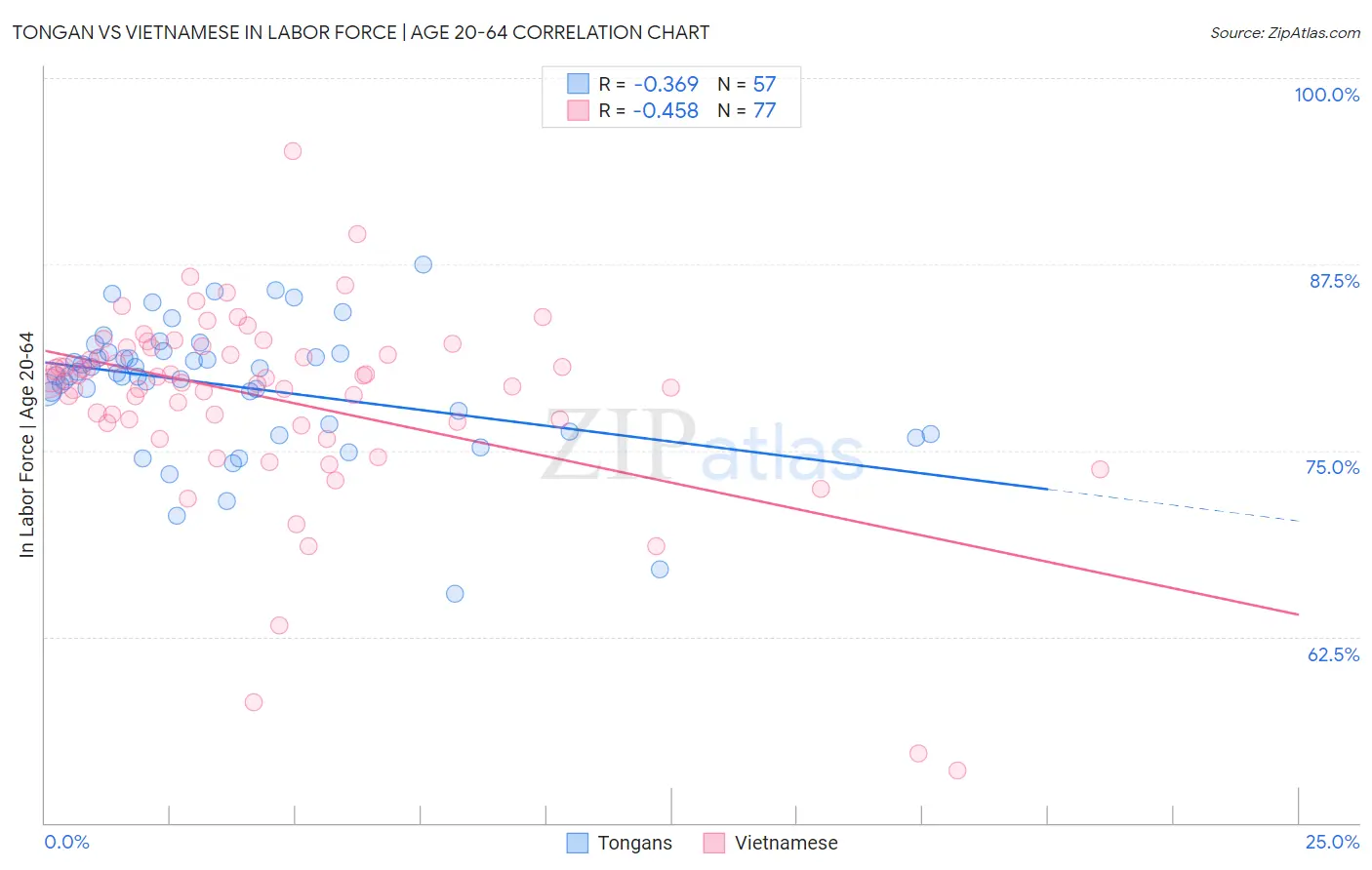 Tongan vs Vietnamese In Labor Force | Age 20-64