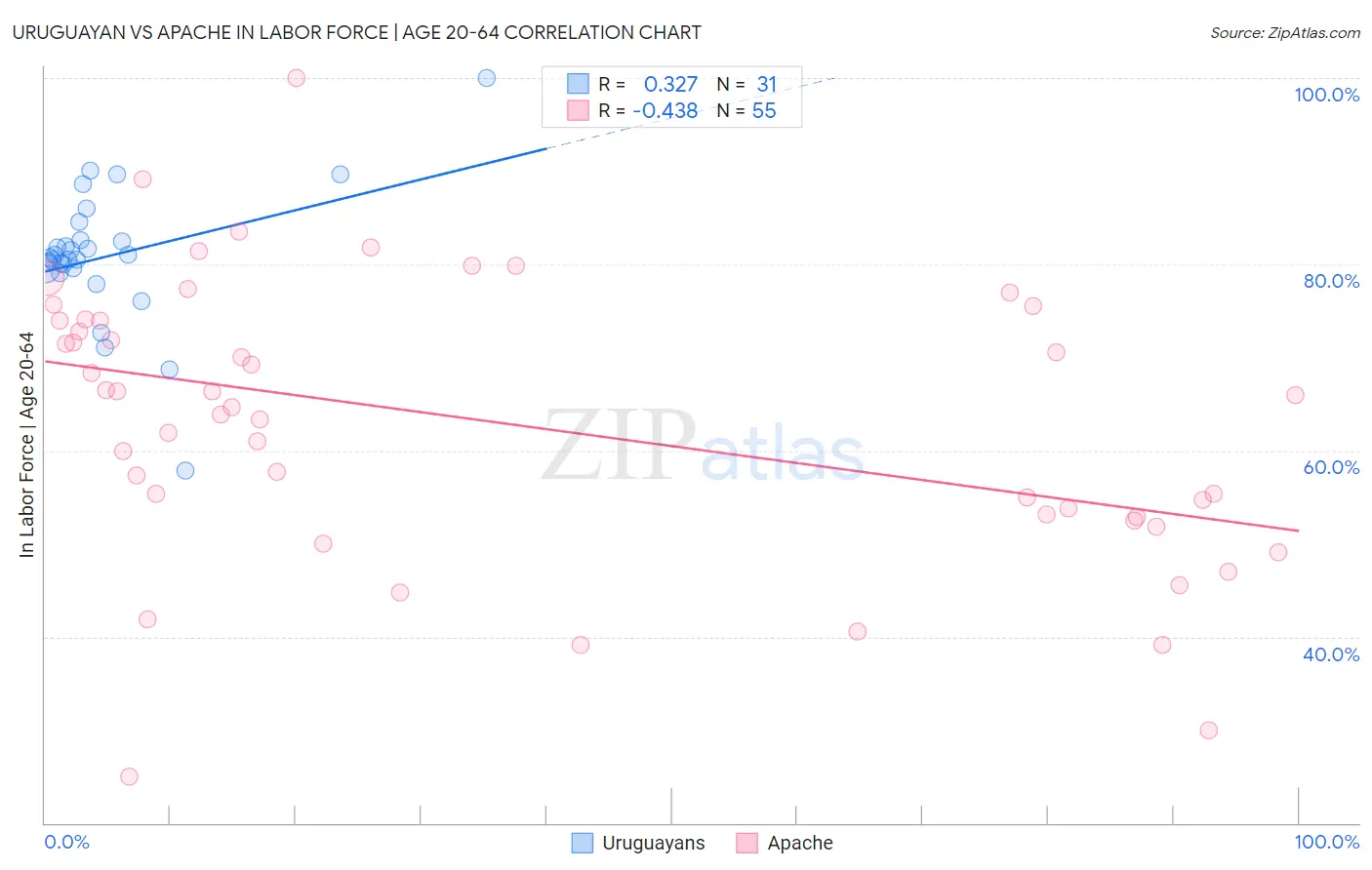 Uruguayan vs Apache In Labor Force | Age 20-64