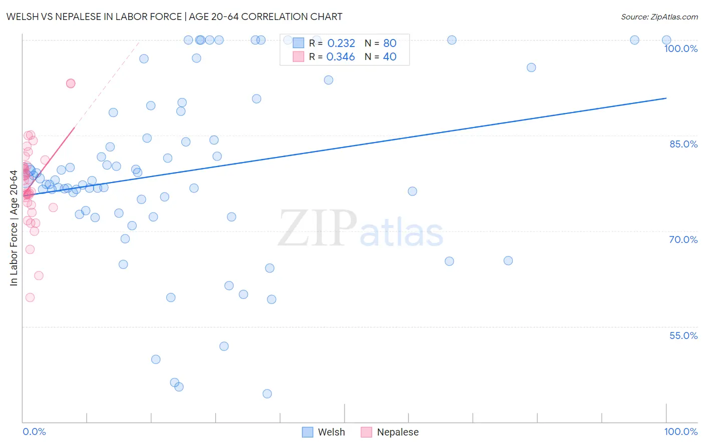 Welsh vs Nepalese In Labor Force | Age 20-64