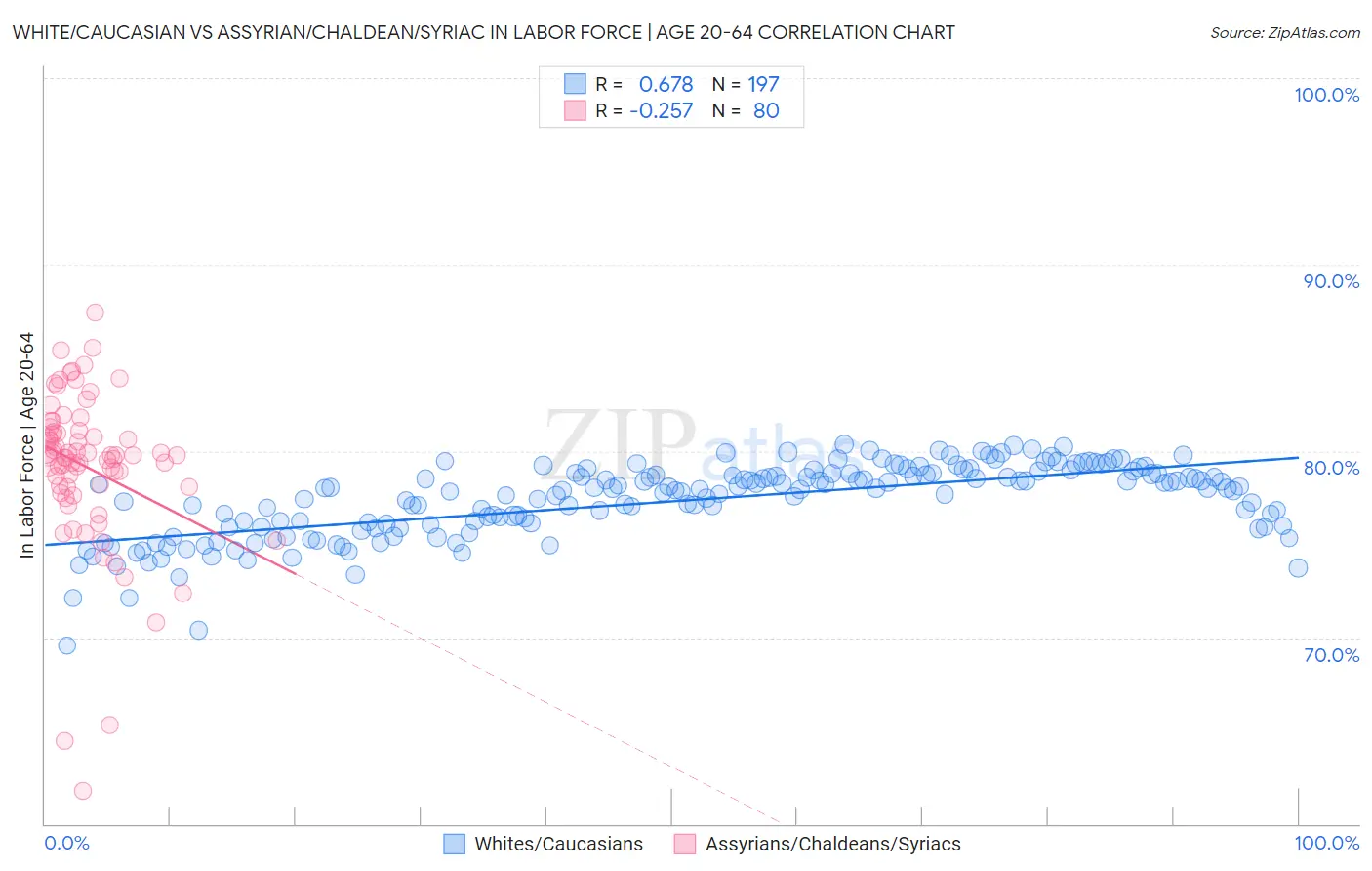 White/Caucasian vs Assyrian/Chaldean/Syriac In Labor Force | Age 20-64