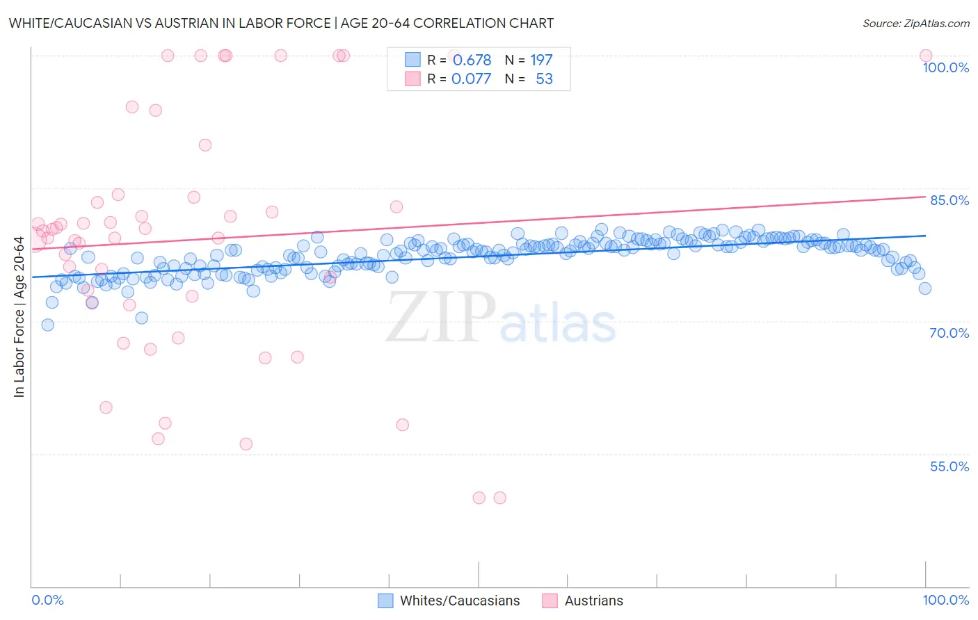 White/Caucasian vs Austrian In Labor Force | Age 20-64