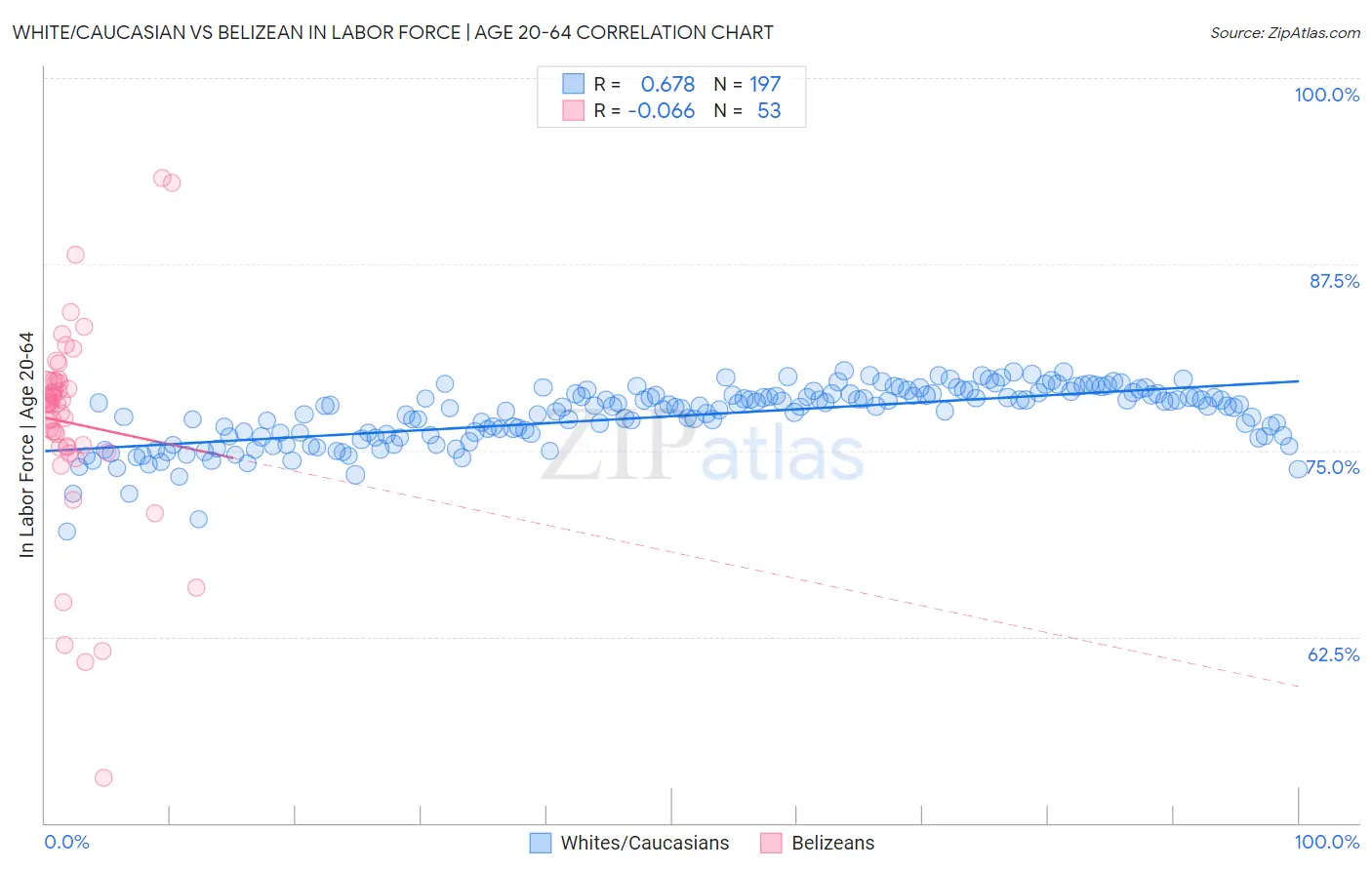 White/Caucasian vs Belizean In Labor Force | Age 20-64