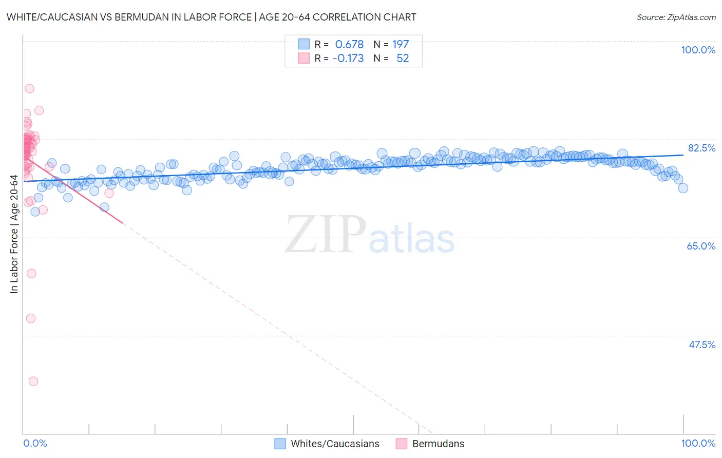 White/Caucasian vs Bermudan In Labor Force | Age 20-64