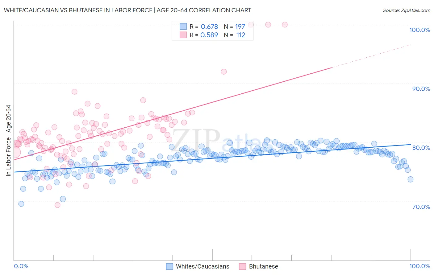 White/Caucasian vs Bhutanese In Labor Force | Age 20-64