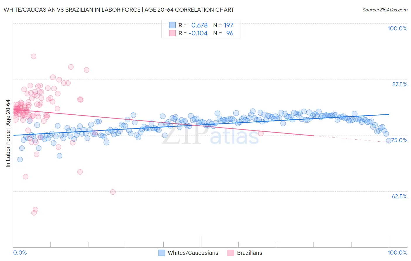 White/Caucasian vs Brazilian In Labor Force | Age 20-64