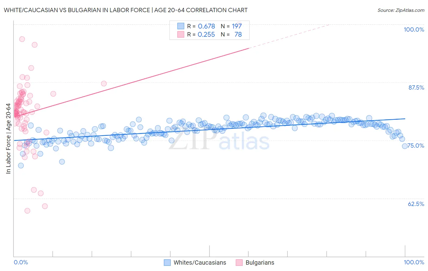 White/Caucasian vs Bulgarian In Labor Force | Age 20-64