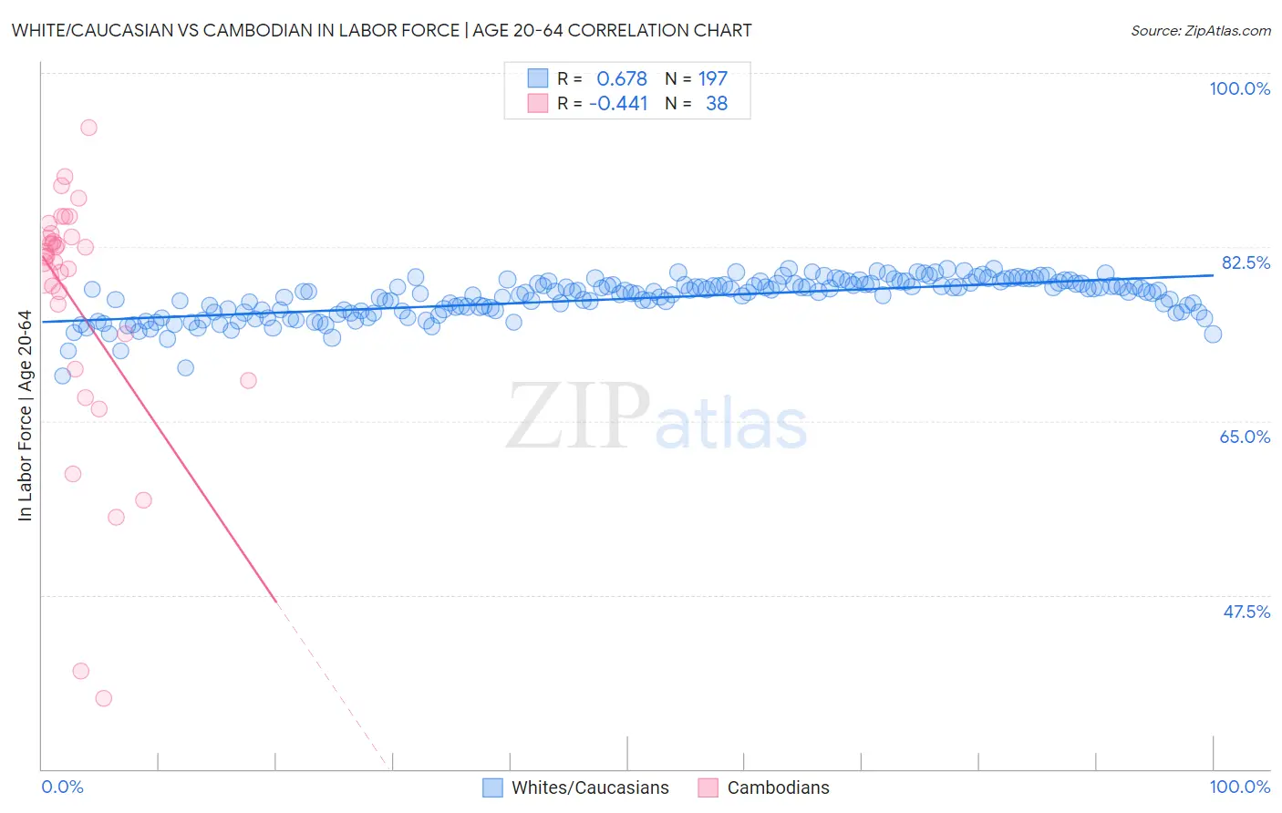 White/Caucasian vs Cambodian In Labor Force | Age 20-64