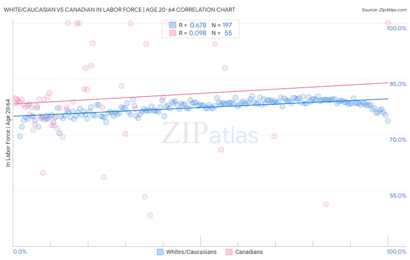 White/Caucasian vs Canadian In Labor Force | Age 20-64