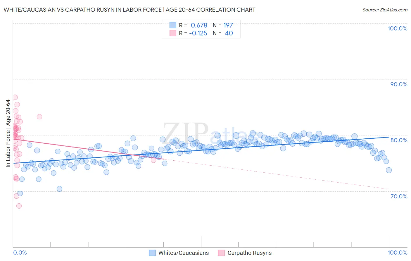 White/Caucasian vs Carpatho Rusyn In Labor Force | Age 20-64