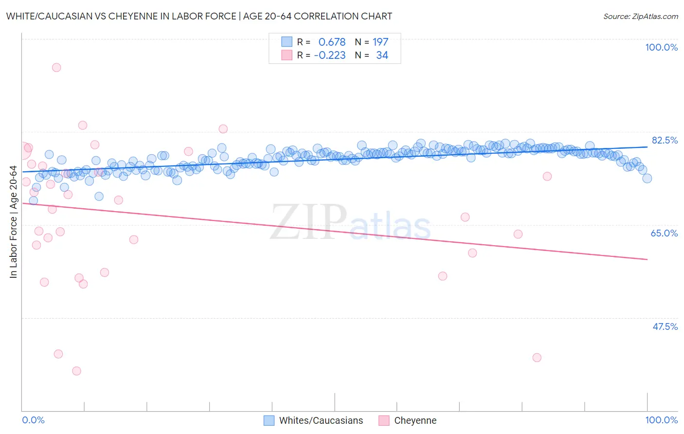 White/Caucasian vs Cheyenne In Labor Force | Age 20-64