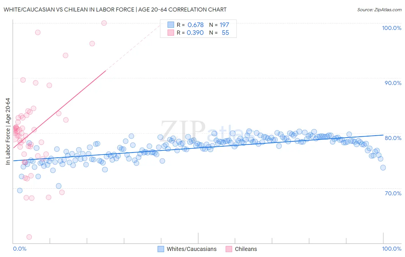 White/Caucasian vs Chilean In Labor Force | Age 20-64