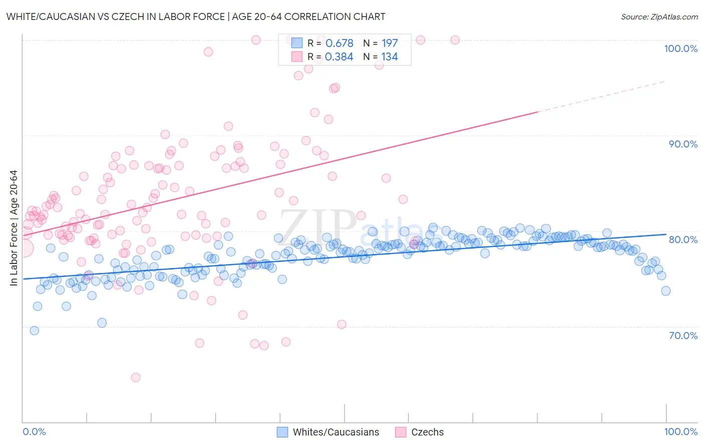 White/Caucasian vs Czech In Labor Force | Age 20-64