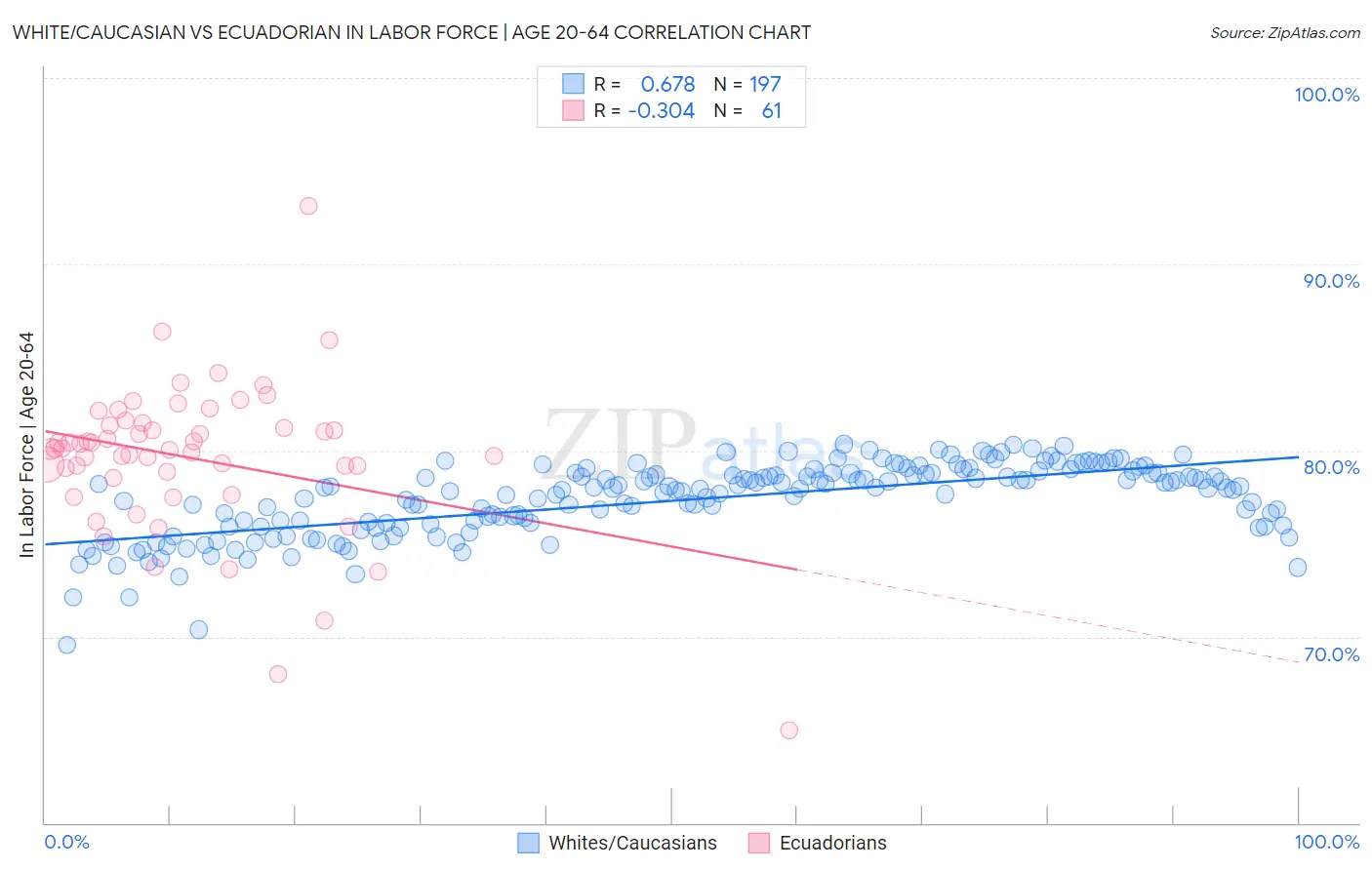 White/Caucasian vs Ecuadorian In Labor Force | Age 20-64