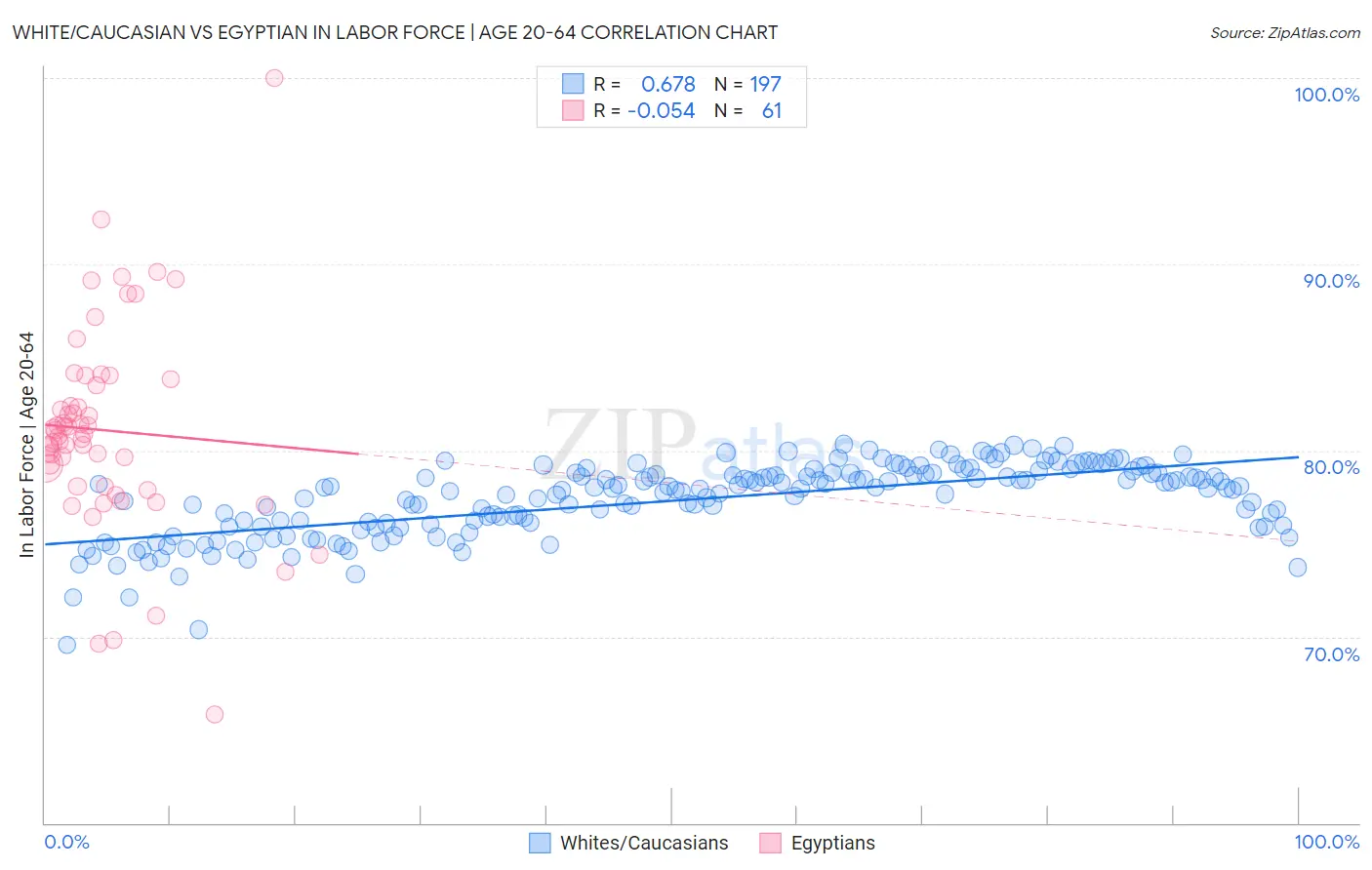 White/Caucasian vs Egyptian In Labor Force | Age 20-64