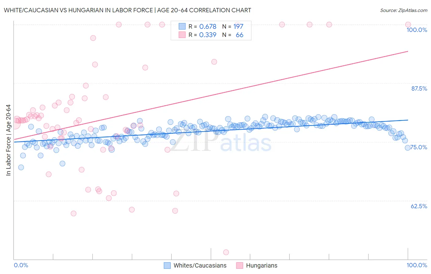 White/Caucasian vs Hungarian In Labor Force | Age 20-64