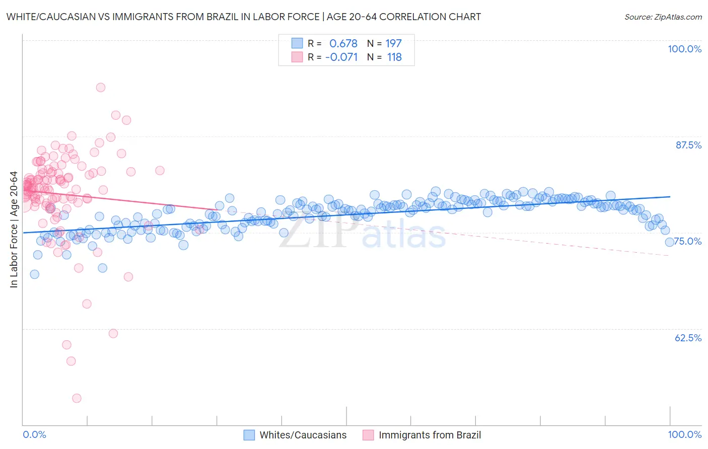 White/Caucasian vs Immigrants from Brazil In Labor Force | Age 20-64