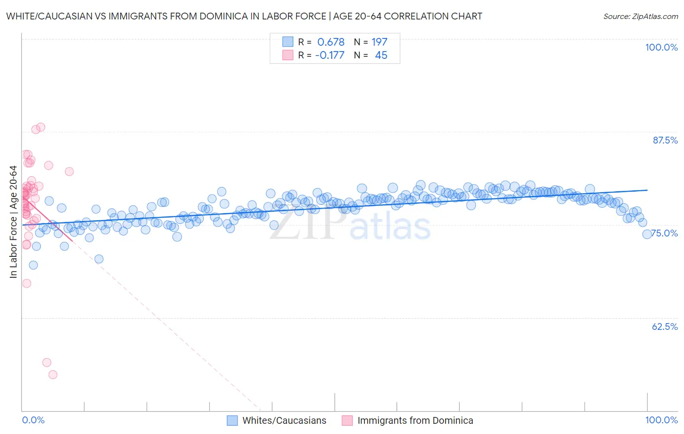 White/Caucasian vs Immigrants from Dominica In Labor Force | Age 20-64