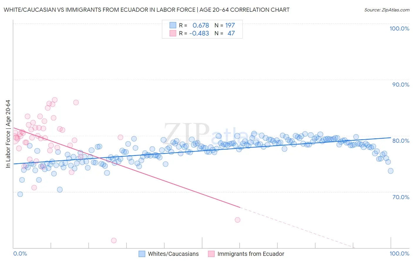 White/Caucasian vs Immigrants from Ecuador In Labor Force | Age 20-64