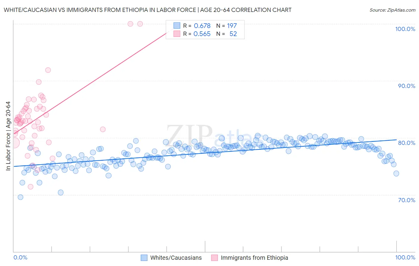 White/Caucasian vs Immigrants from Ethiopia In Labor Force | Age 20-64