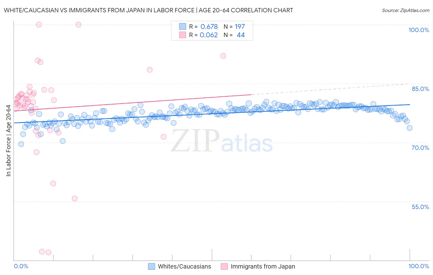 White/Caucasian vs Immigrants from Japan In Labor Force | Age 20-64