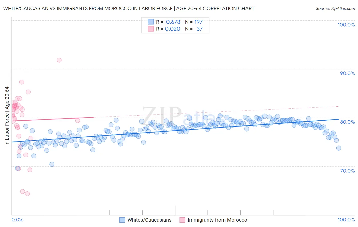 White/Caucasian vs Immigrants from Morocco In Labor Force | Age 20-64