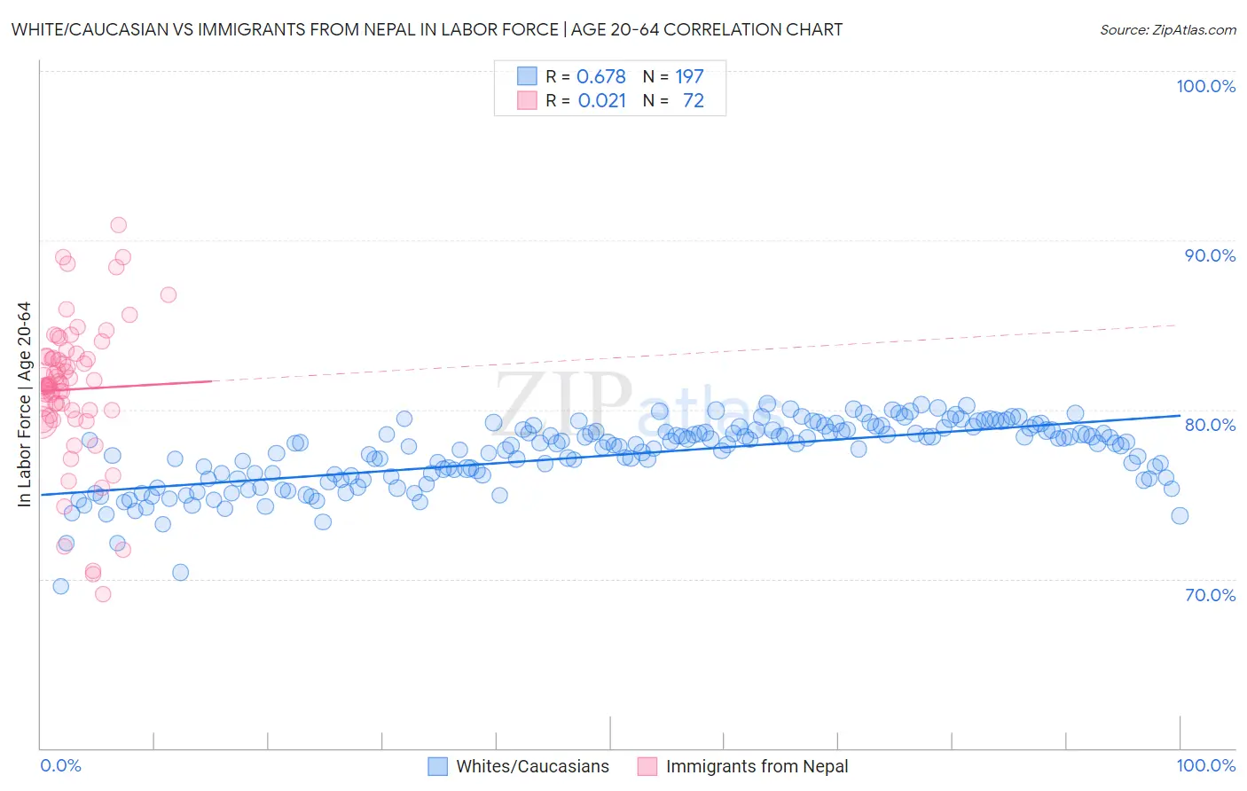 White/Caucasian vs Immigrants from Nepal In Labor Force | Age 20-64