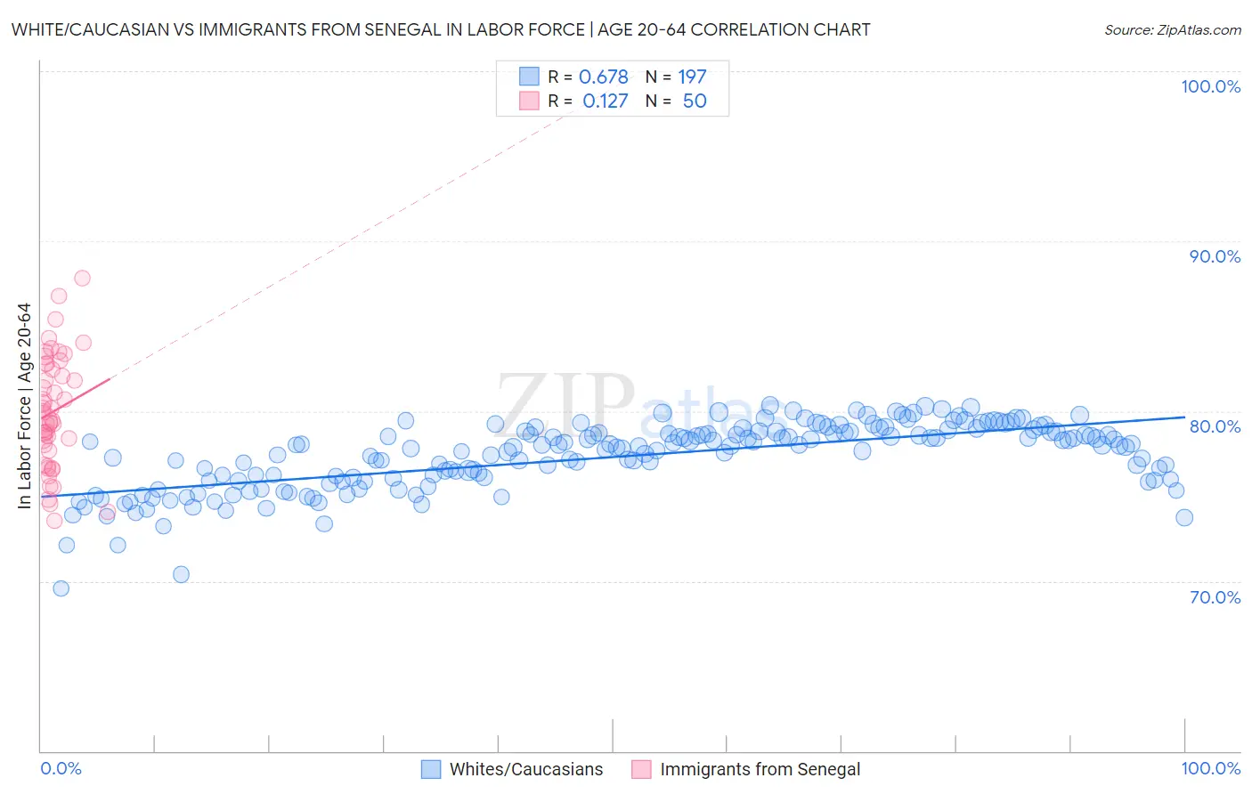 White/Caucasian vs Immigrants from Senegal In Labor Force | Age 20-64