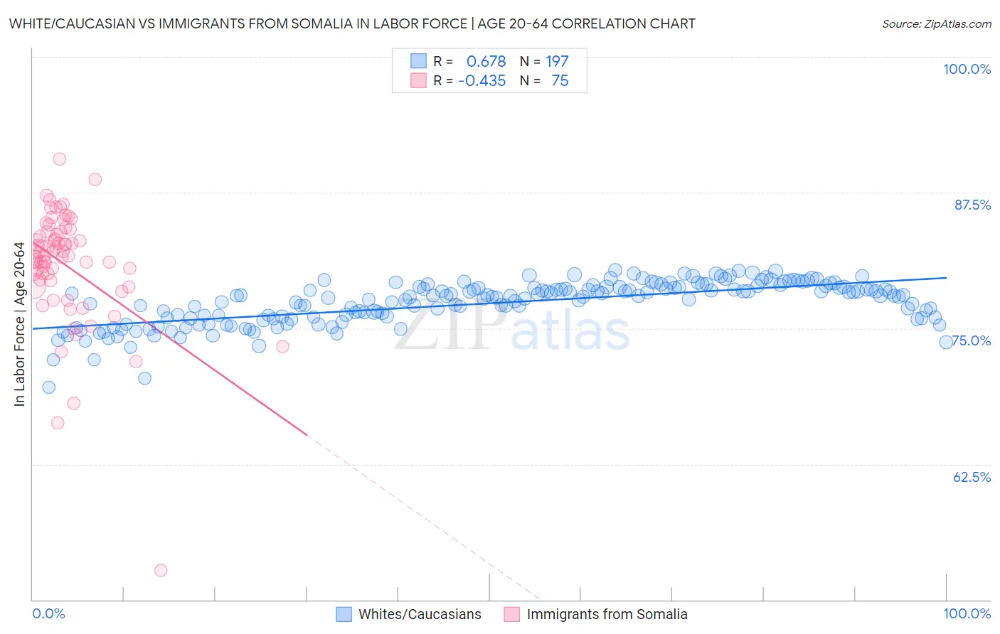 White/Caucasian vs Immigrants from Somalia In Labor Force | Age 20-64