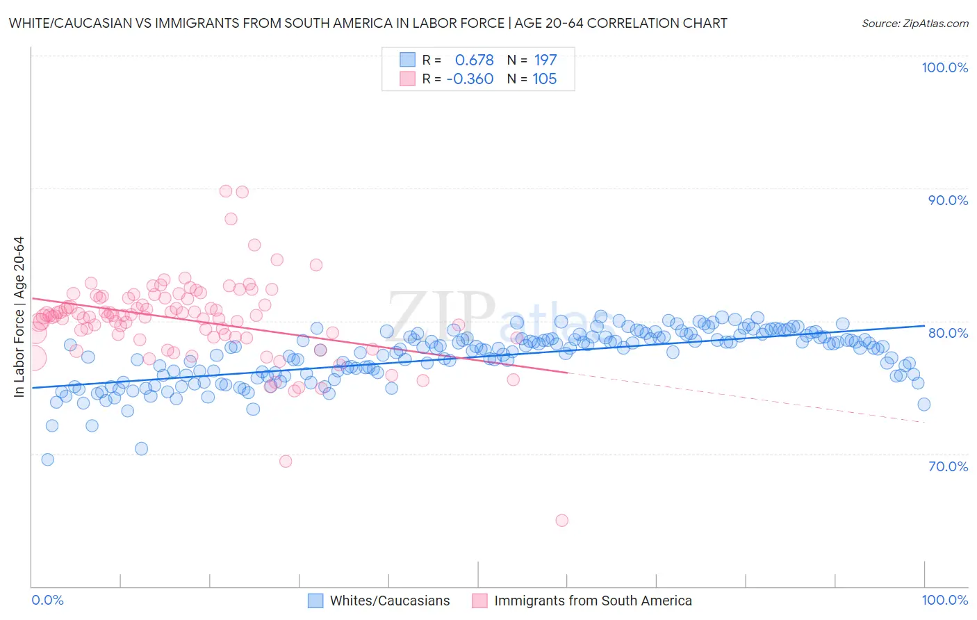 White/Caucasian vs Immigrants from South America In Labor Force | Age 20-64