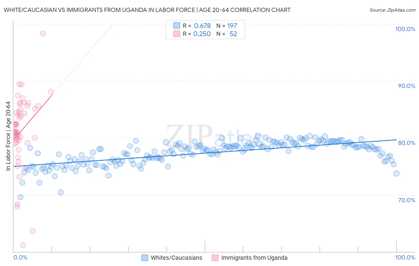 White/Caucasian vs Immigrants from Uganda In Labor Force | Age 20-64