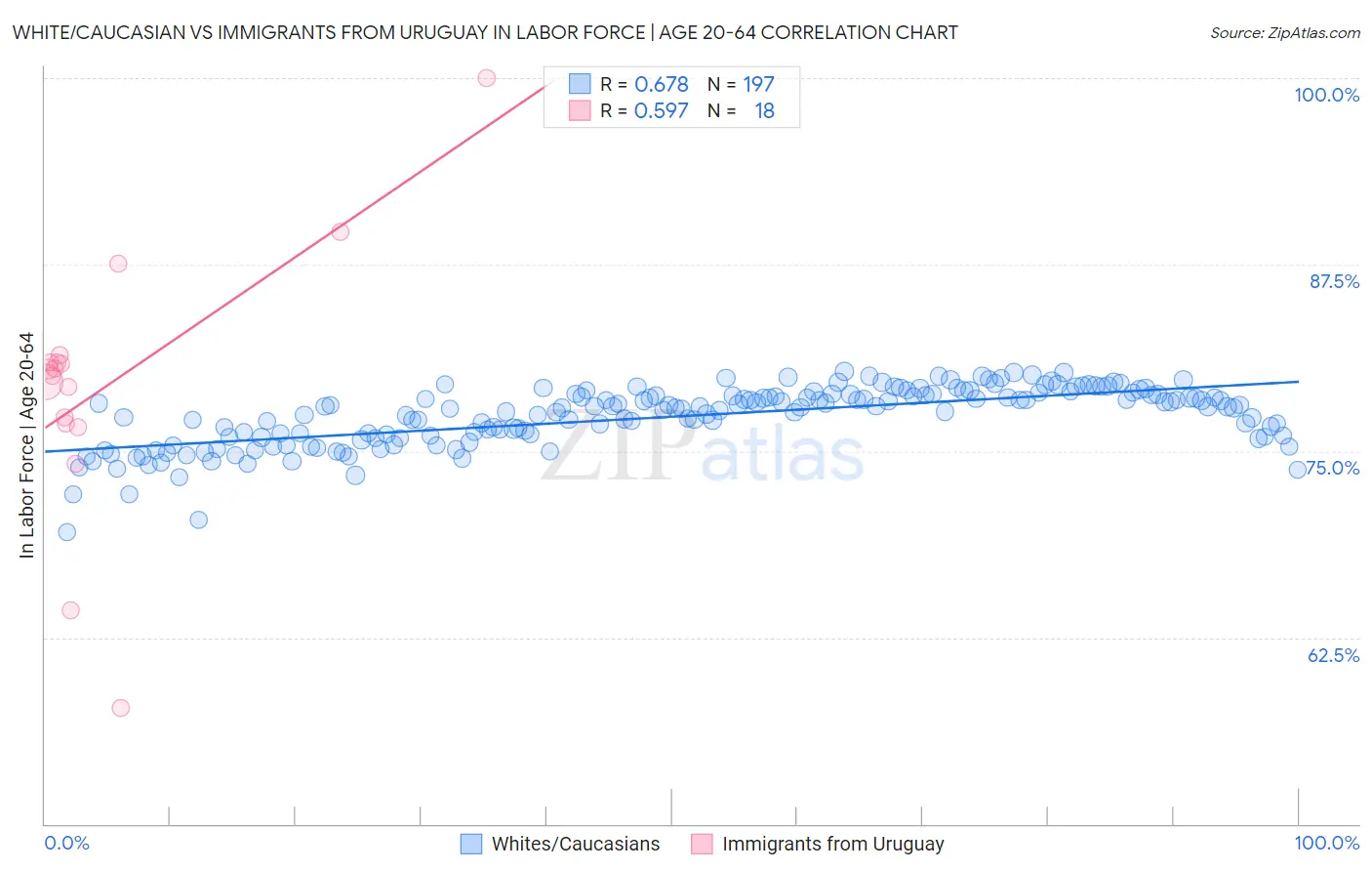 White/Caucasian vs Immigrants from Uruguay In Labor Force | Age 20-64