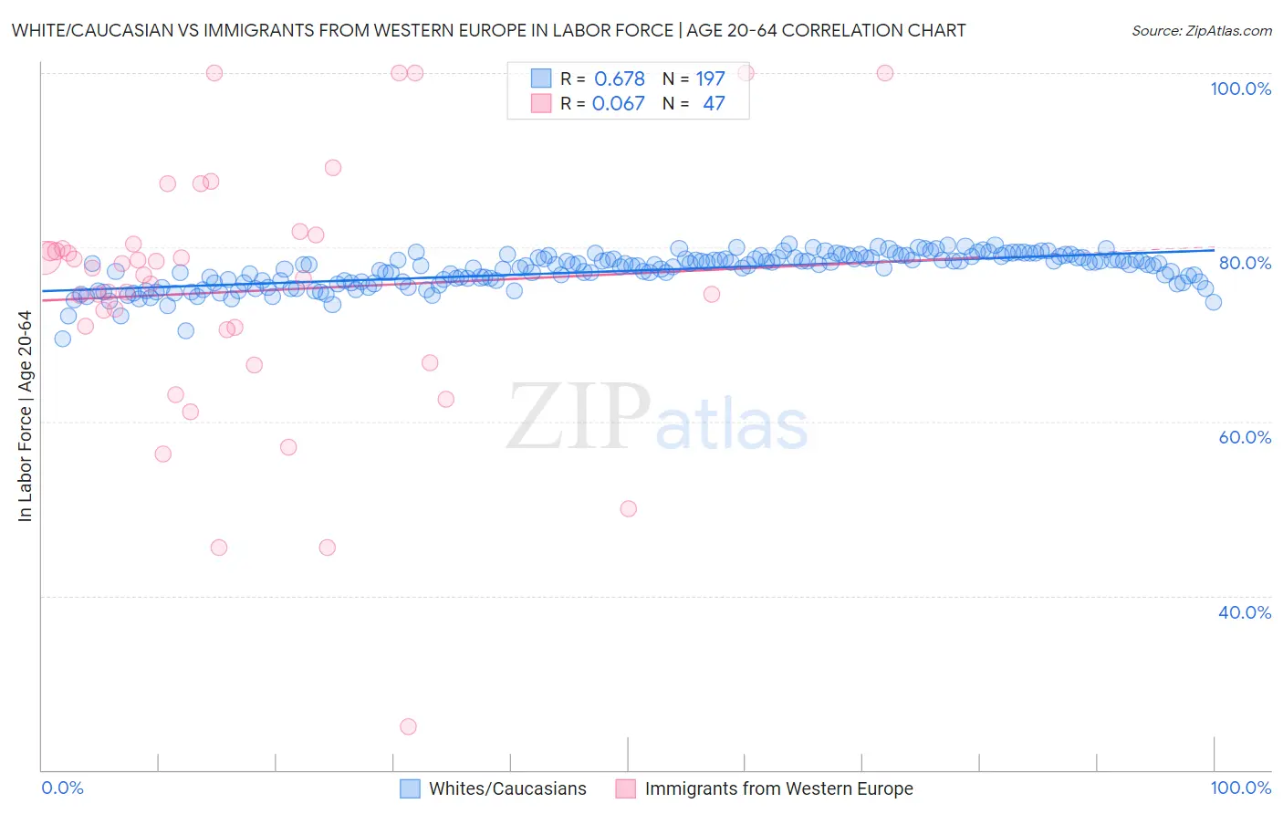 White/Caucasian vs Immigrants from Western Europe In Labor Force | Age 20-64