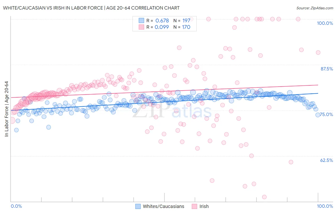 White/Caucasian vs Irish In Labor Force | Age 20-64