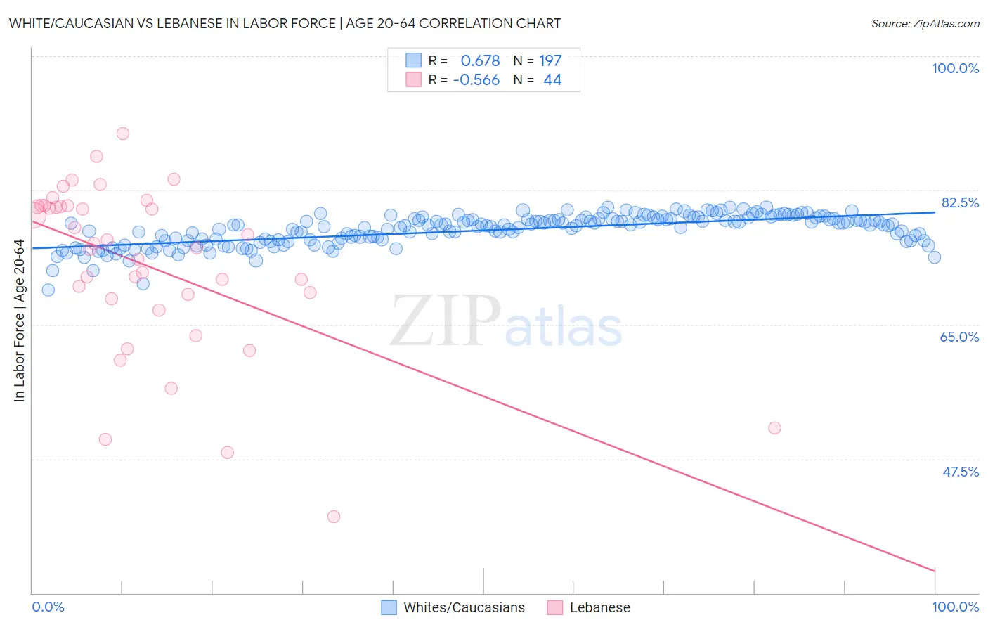 White/Caucasian vs Lebanese In Labor Force | Age 20-64